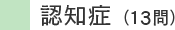 認知症（13問）